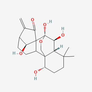 molecular formula C20H28O6 B1195240 (9S,10S,11R,15S,18S)-9,10,15,18-tetrahydroxy-12,12-dimethyl-6-methylidene-17-oxapentacyclo[7.6.2.15,8.01,11.02,8]octadecan-7-one 