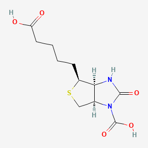 N1'-Carboxybiotin