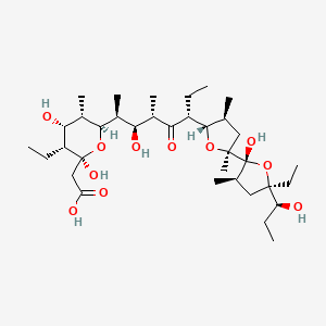 molecular formula C35H62O11 B1195338 2-[(2S,3R,4R,5S,6R)-3-ethyl-6-[(2S,3S,4S,6R)-6-[(2S,3S,5S)-5-[(2R,3R,5R)-5-ethyl-2-hydroxy-5-[(1S)-1-hydroxypropyl]-3-methyloxolan-2-yl]-3,5-dimethyloxolan-2-yl]-3-hydroxy-4-methyl-5-oxooctan-2-yl]-2,4-dihydroxy-5-methyloxan-2-yl]acetic acid CAS No. 88263-37-0
