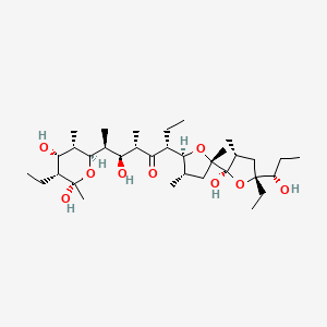 molecular formula C34H62O9 B1195376 Antibiotic X 14873H CAS No. 88263-36-9
