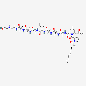 molecular formula C61H109N11O12 B1195506 N-[1-[[1-[[1-[[1-[[1-[[1-[[1-[1-[2-hydroxyethyl(methyl)amino]propan-2-ylamino]-2-methyl-1-oxopropan-2-yl]amino]-2-methyl-1-oxopropan-2-yl]amino]-1-oxopropan-2-yl]amino]-3-methyl-1-oxopentan-2-yl]amino]-2-methyl-1-oxopropan-2-yl]amino]-2-methyl-1-oxopropan-2-yl]amino]-1-oxopropan-2-yl]-4-methyl-1-[1-(2-methyldecanoyl)pyrrolidine-2-carbonyl]-6-(2-oxobutyl)piperidine-2-carboxamide 
