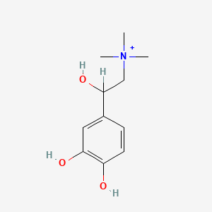 molecular formula C11H18NO3+ B1195536 [2-(3,4-二羟基苯基)-2-羟基乙基]-三甲基铵 