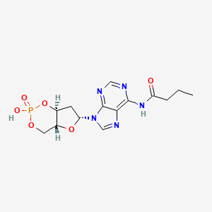 molecular formula C14H18N5O6P B1195542 N(6)-Monobutyryl-2'-deoxycyclic adenosine monophosphate CAS No. 61866-09-9