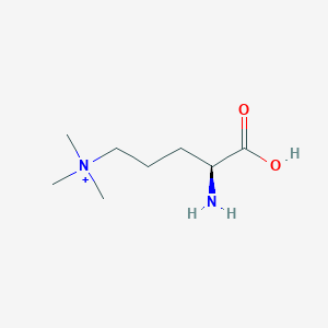 molecular formula C8H19N2O2+ B1195544 Trimethyl[(S)-4-amino-4-carboxybutyl] ammonium CAS No. 73970-11-3
