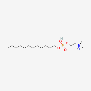 molecular formula C17H39NO4P+ B1195590 ethanaminium, 2-[[(dodecyloxy)hydroxyphosphinyl]oxy]-N,N,N-trimethyl-, inner salt 