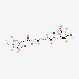molecular formula C24H24Br4N4O9 B1195640 (5S,10R)-7,9-dibromo-N-[4-[[(5S,10R)-7,9-dibromo-10-hydroxy-8-methoxy-4-oxa-3-azaspiro[4.5]deca-2,6,8-triene-2-carbonyl]amino]-3-oxo-butyl]-10-hydroxy-8-methoxy-4-oxa-3-azaspiro[4.5]deca-2,6,8-triene-2-carboxamide 