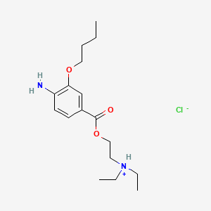 molecular formula C17H29ClN2O3 B1195822 Conjuncain CAS No. 13718-13-3