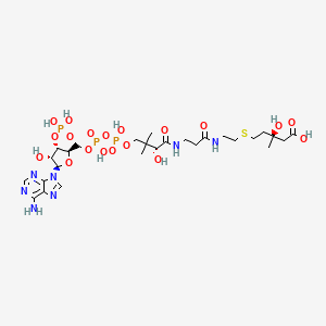 molecular formula C27H46N7O19P3S B1195858 3-Hydroxy-3-methyl-4-carboxybutyl-coa CAS No. 78901-91-4