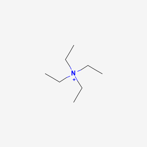 molecular formula C8H20N+ B1195904 Tetraethylammonium CAS No. 66-40-0