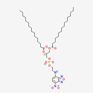 molecular formula C43H75N4O11P B1196002 1,2-Dipalmitoyl-sn-glycero-3-phosphoethanolamine, 7-nitrobenzofurazan-labeled CAS No. 99684-86-3