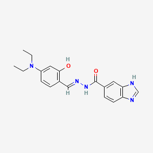 molecular formula C19H21N5O2 B11960970 N'-(4-(Diethylamino)-2-hydroxybenzylidene)-1H-benzimidazole-6-carbohydrazide 