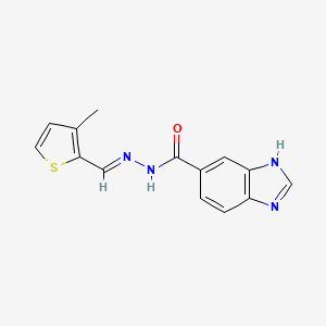 molecular formula C14H12N4OS B11961069 N'-((3-Methyl-2-thienyl)methylene)-1H-benzimidazole-6-carbohydrazide 