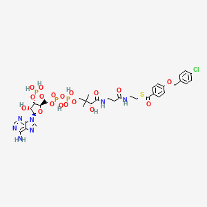molecular formula C35H45ClN7O18P3S B1196134 Coenzyme A, 4-(4-chlorobenzyloxy)benzoyl- CAS No. 93604-15-0