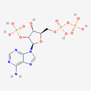 2'-Monophosphoadenosine-5'-diphosphate