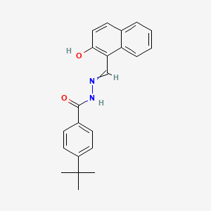 molecular formula C22H22N2O2 B1196239 P-(tert-butyl)[(2-hydroxy-1-naphthyl)methylene]benzohydrazide CAS No. 68758-85-0