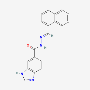molecular formula C19H14N4O B11962622 N'-[(E)-1-naphthylmethylidene]-1H-benzimidazole-6-carbohydrazide 