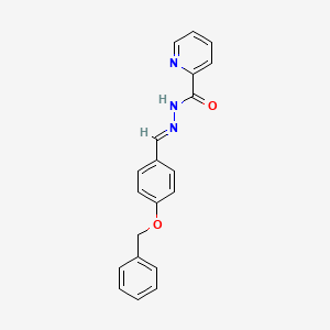 molecular formula C20H17N3O2 B11962654 N'-{(E)-[4-(benzyloxy)phenyl]methylidene}pyridine-2-carbohydrazide 