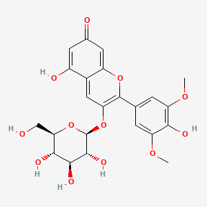 malvidin 3-O-beta-D-glucoside betaine
