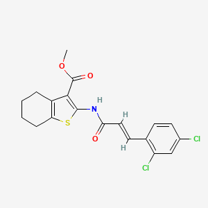molecular formula C19H17Cl2NO3S B11963750 methyl 2-{[(2E)-3-(2,4-dichlorophenyl)-2-propenoyl]amino}-4,5,6,7-tetrahydro-1-benzothiophene-3-carboxylate 