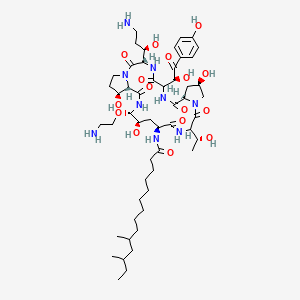 molecular formula C52H85N9O16 B1196411 N-[(3S,9S,11R,18S,20R,21S,24S,25S)-21-(2-Aminoethoxy)-3-[(1R)-3-amino-1-hydroxypropyl]-11,20,25-trihydroxy-15-[(1R)-1-hydroxyethyl]-6-[(1S)-1-hydroxy-2-(4-hydroxyphenyl)-2-oxoethyl]-2,5,8,14,17,23-hexaoxo-1,4,7,13,16,22-hexazatricyclo[22.3.0.09,13]heptacosan-18-yl]-10,12-dimethyltetradecanamide CAS No. 150283-06-0
