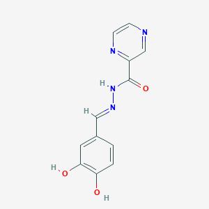 molecular formula C12H10N4O3 B11964282 N'-[(E)-(3,4-dihydroxyphenyl)methylidene]-2-pyrazinecarbohydrazide 
