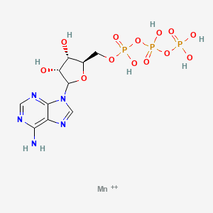molecular formula C10H16MnN5O13P3+2 B1196453 Manganese adenosine triphosphate CAS No. 56842-80-9