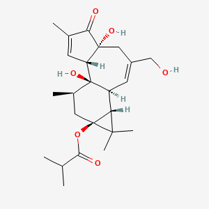 molecular formula C24H34O6 B1196579 12-Deoxyphorbol 13-Isobutyrate CAS No. 25090-74-8
