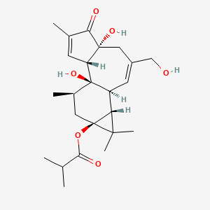 molecular formula C24H34O6 B1196579 12-Deoxyphorbol 13-isobutyrate CAS No. 25090-74-8