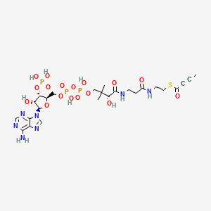 molecular formula C25H38N7O17P3S B1196643 2-Butynoyl-coenzyme A CAS No. 6244-99-1