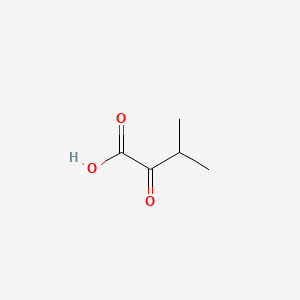molecular formula C5H8O3 B1196658 3-Methyl-2-oxobutanoic acid CAS No. 759-05-7