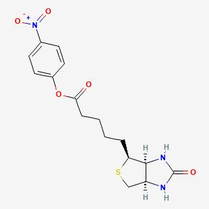 (+)-Biotin-ONP