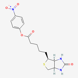 molecular formula C16H19N3O5S B1196719 (+)-Biotin 4-nitrophenyl ester CAS No. 33755-53-2