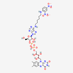 molecular formula C39H48N12O19P2 B1196748 Dnp-fad CAS No. 73121-99-0