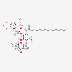 molecular formula C35H63F3N4O13 B1196880 N-[5-amino-4-[6-(aminomethyl)-3,4,5-trihydroxyoxan-2-yl]oxy-2-[3,5-dihydroxy-6-(hydroxymethyl)-4-[(2,2,2-trifluoroacetyl)amino]oxan-2-yl]oxy-3-hydroxycyclohexyl]pentadecanamide CAS No. 92396-07-1