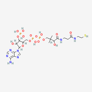 molecular formula C21H36N7O16P3S B1196936 [[5-(6-Aminopurin-9-yl)-4-hydroxy-3-phosphonooxyoxolan-2-yl]methoxy-hydroxyphosphoryl] [3-hydroxy-2,2-dimethyl-4-oxo-4-[[3-oxo-3-(2-sulfanylethylamino)propyl]amino]butyl] hydrogen phosphate CAS No. 31416-98-5