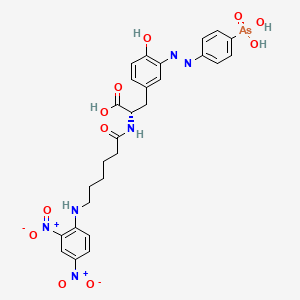 molecular formula C27H29AsN6O11 B1197003 L-Tyrosine, 3-((4-arsonophenyl)azo)-N-(6-((2,4-dinitrophenyl)amino)-1-oxohexyl)- CAS No. 38337-12-1