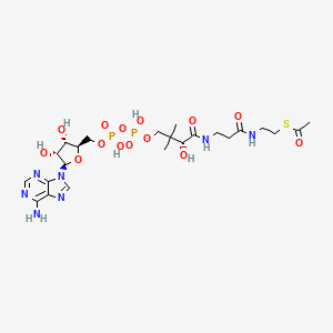 molecular formula C23H37N7O14P2S B1197013 Acetyl-dephospho-coenzyme A CAS No. 31664-34-3
