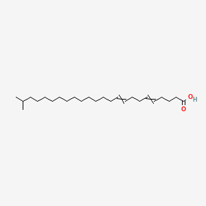 molecular formula C25H46O2 B1197057 23-Methyltetracosa-5,9-dienoic acid 