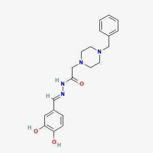 molecular formula C20H24N4O3 B11970843 2-(4-benzyl-1-piperazinyl)-N'-[(E)-(3,4-dihydroxyphenyl)methylidene]acetohydrazide 