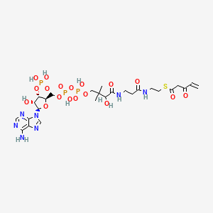 molecular formula C26H40N7O18P3S B1197133 3-Keto-4-pentenoyl-coenzyme A CAS No. 80724-14-7