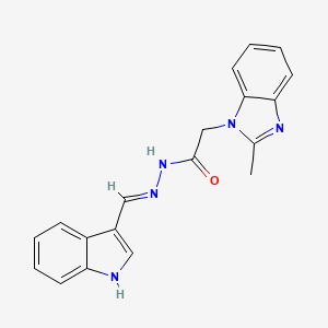 molecular formula C19H17N5O B11971654 N'-(1H-Indol-3-ylmethylene)-2-(2-methyl-1H-benzimidazol-1-YL)acetohydrazide CAS No. 303094-97-5