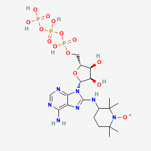 molecular formula C19H33N7O14P3 B1197188 C8-SL-ATP CAS No. 80538-64-3