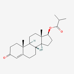 molecular formula C23H34O3 B1197293 Testosterone isobutyrate CAS No. 1169-49-9