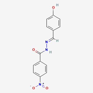 molecular formula C14H11N3O4 B11973859 N'-(4-hydroxybenzylidene)-4-nitrobenzohydrazide CAS No. 106736-24-7