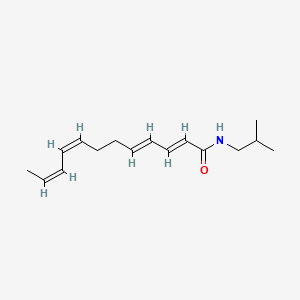 molecular formula C16H25NO B1197390 dodeca-2E,4E,8Z,10Z-tetraenoic acid isobutylamide CAS No. 77448-63-6