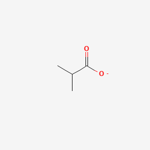 molecular formula C4H7O2- B1197409 2-Methylpropanoate CAS No. 5711-69-3