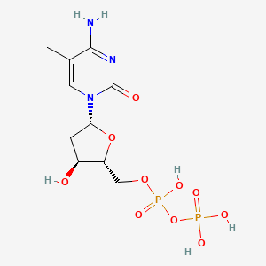 molecular formula C10H17N3O10P2 B1197503 5-Methyldeoxycytidine 5'-(trihydrogen diphosphate) 