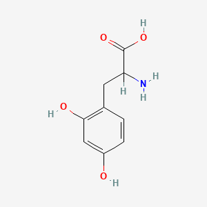molecular formula C9H11NO4 B1197516 2-Amino-3-(2,4-dihydroxyphenyl)propanoic acid CAS No. 582-34-3