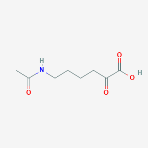 molecular formula C8H13NO4 B1197646 6-乙酰氨基-2-氧代己酸 CAS No. 59403-50-8