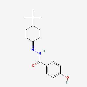molecular formula C17H24N2O2 B11976803 N'-(4-tert-butylcyclohexylidene)-4-hydroxybenzohydrazide CAS No. 303086-15-9